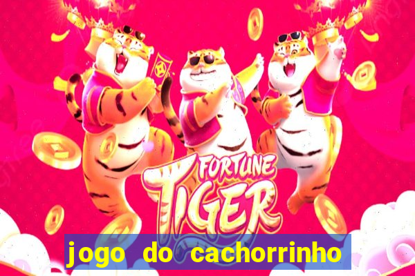 jogo do cachorrinho que ganha dinheiro