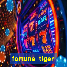 fortune tiger cassino pix