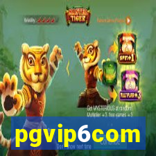 pgvip6com