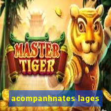 acompanhnates lages