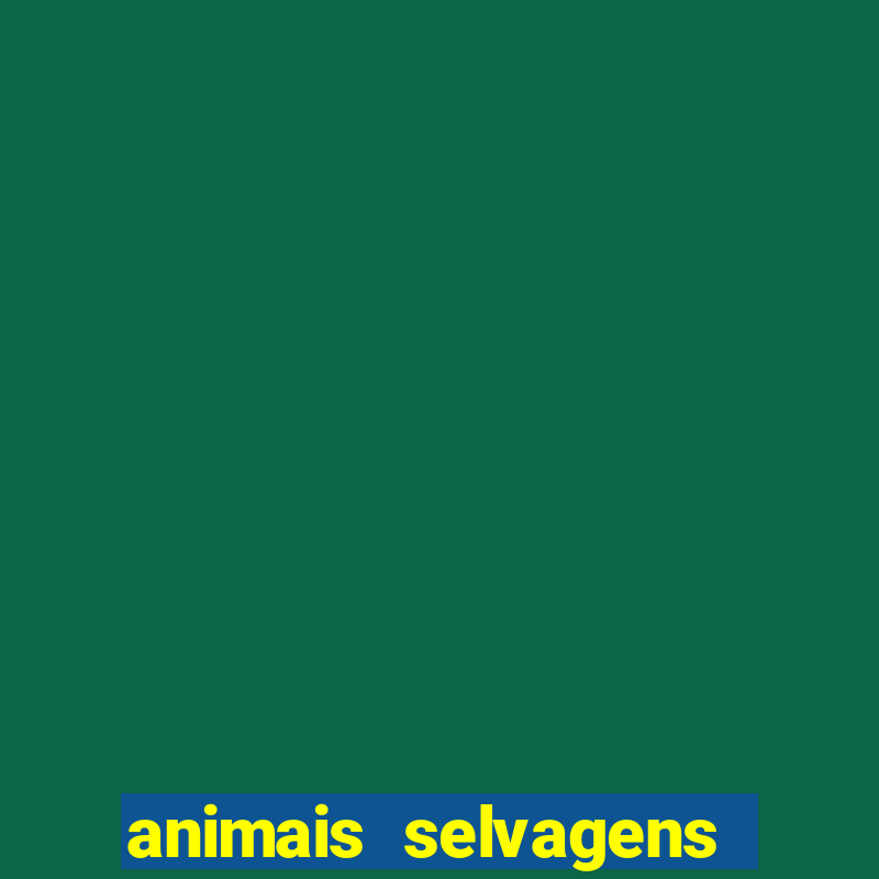 animais selvagens fotos e nomes