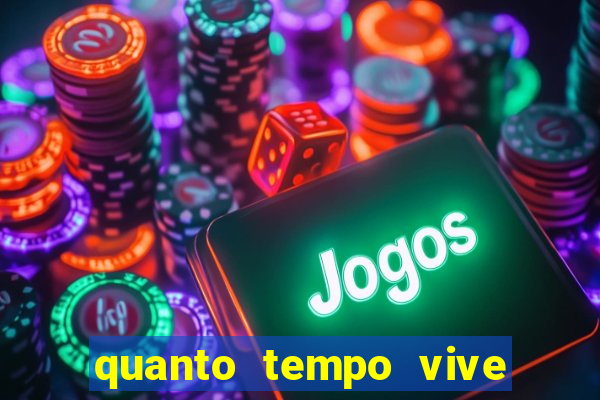 quanto tempo vive um passarinho bem-te-vi