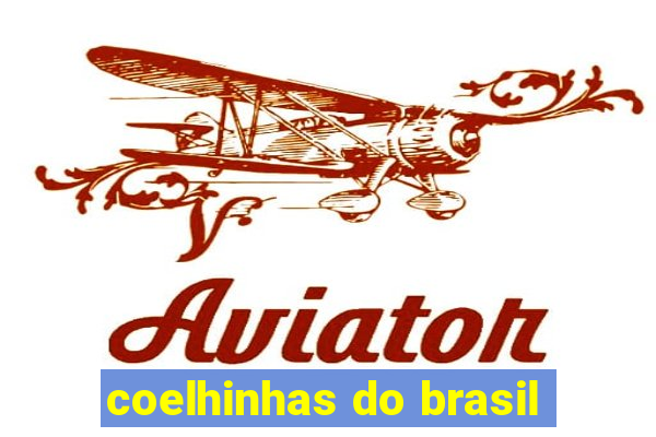 coelhinhas do brasil