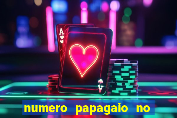 numero papagaio no jogo do bicho