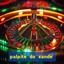 palpite do xande para hoje