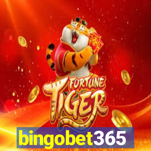 bingobet365