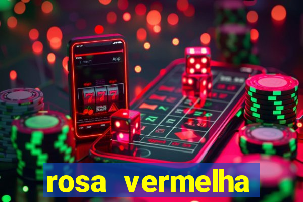 rosa vermelha (letra e cifra)