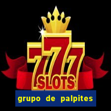 grupo de palpites de futebol whatsapp