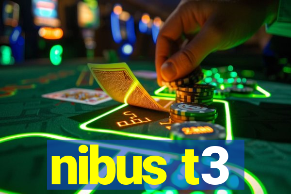 nibus t3