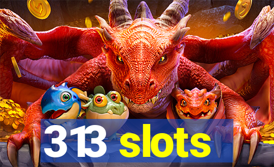 313 slots