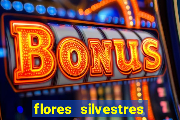 flores silvestres desbravadores desbravadores 25