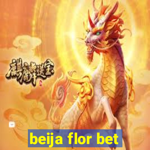 beija flor bet