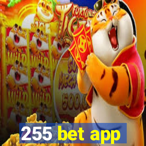 255 bet app