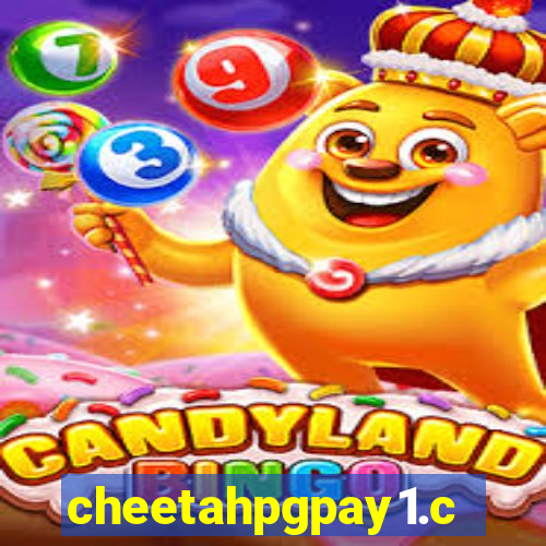 cheetahpgpay1.com