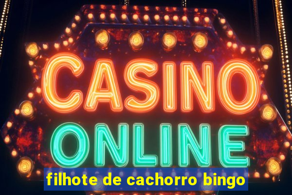 filhote de cachorro bingo