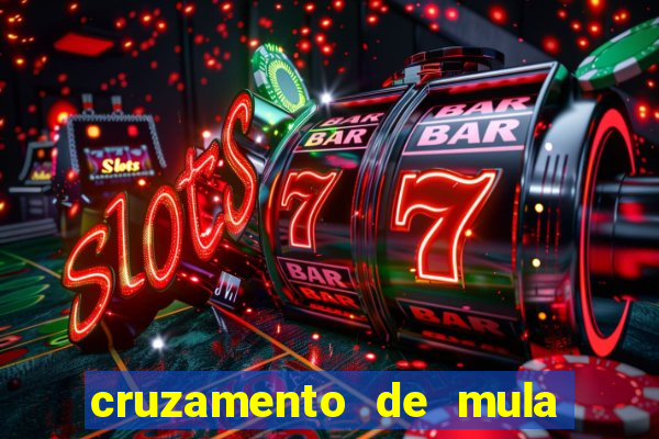 cruzamento de mula com cavalo