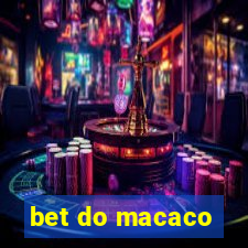 bet do macaco