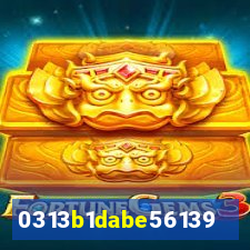 qin2023