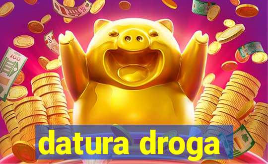 datura droga