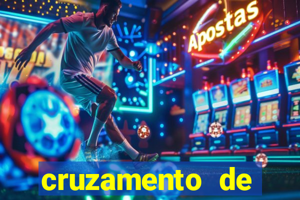 cruzamento de cavalo com mula
