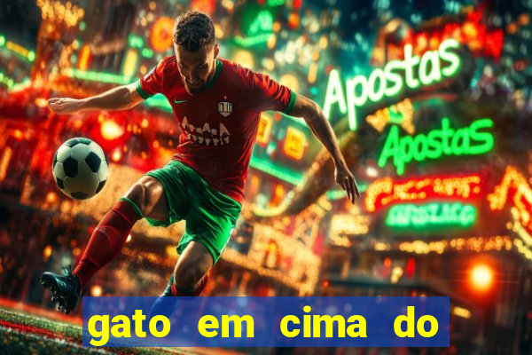 gato em cima do telhado significado espiritual