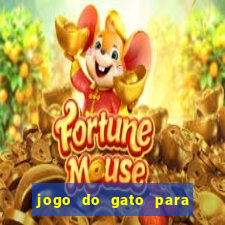 jogo do gato para ganhar dinheiro