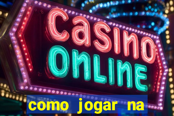 como jogar na lotinha do jogo do bicho