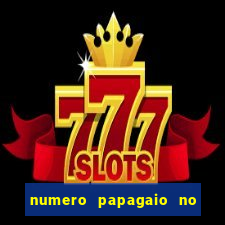 numero papagaio no jogo do bicho