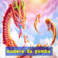 numero da pomba jogo do bicho