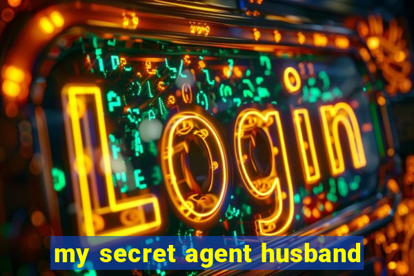 my secret agent husband