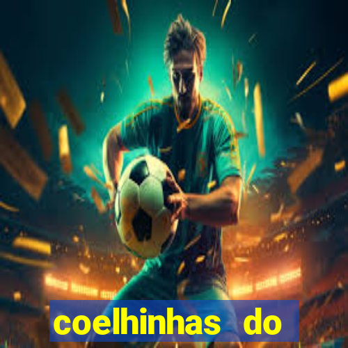 coelhinhas do brasil recife