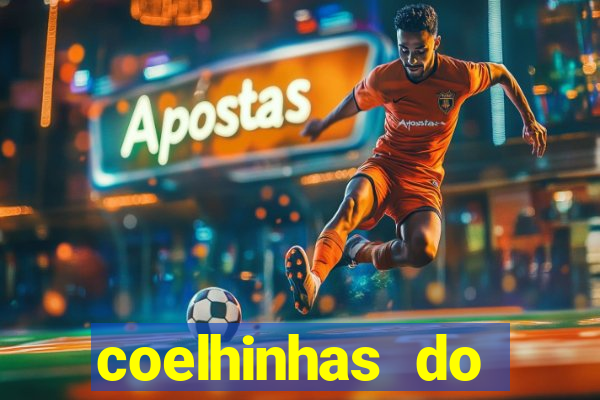 coelhinhas do brasil recife