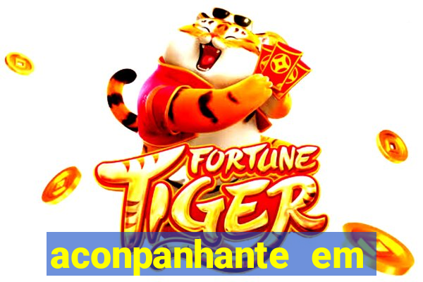 aconpanhante em porto alegre