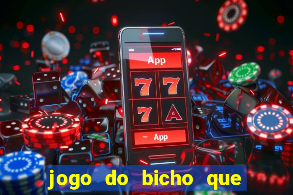 jogo do bicho que paga no pix