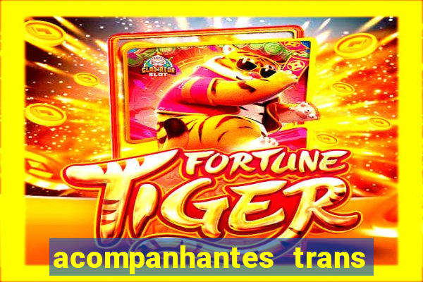 acompanhantes trans porto seguro