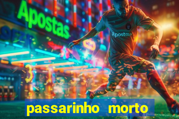 passarinho morto significado espiritual