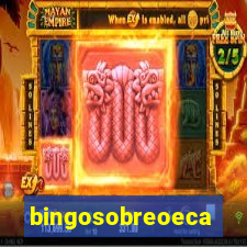 bingosobreoeca