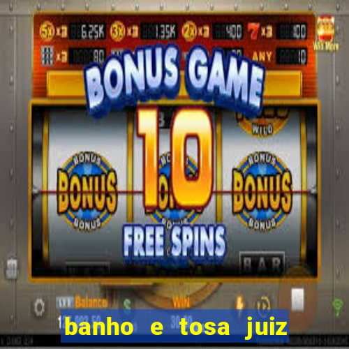 banho e tosa juiz de fora