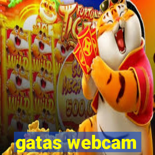 gatas webcam