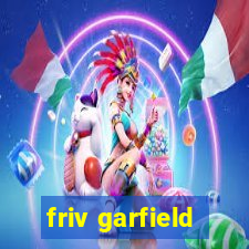 friv garfield
