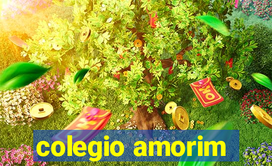 colegio amorim
