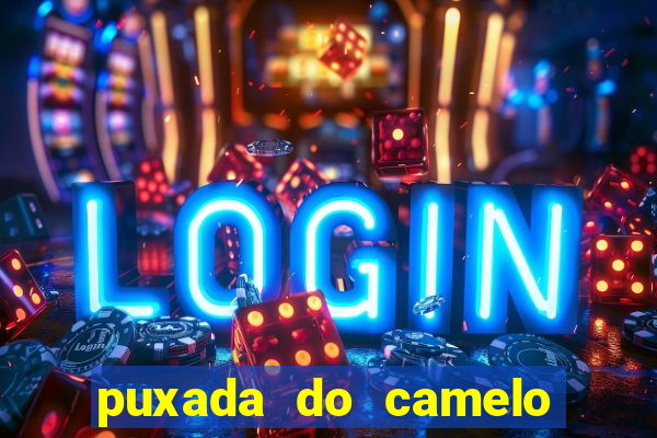 puxada do camelo no jogo do bicho