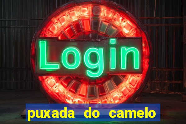 puxada do camelo no jogo do bicho