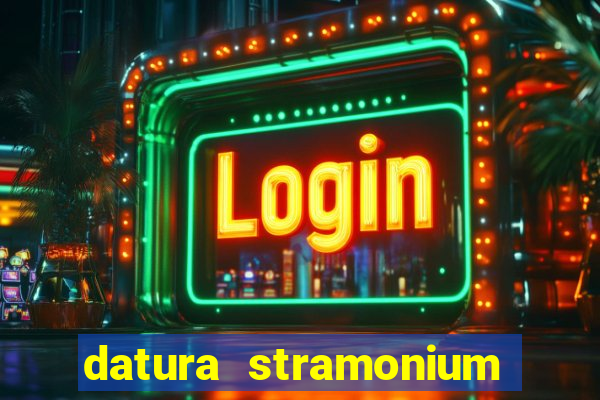 datura stramonium medicinal uses