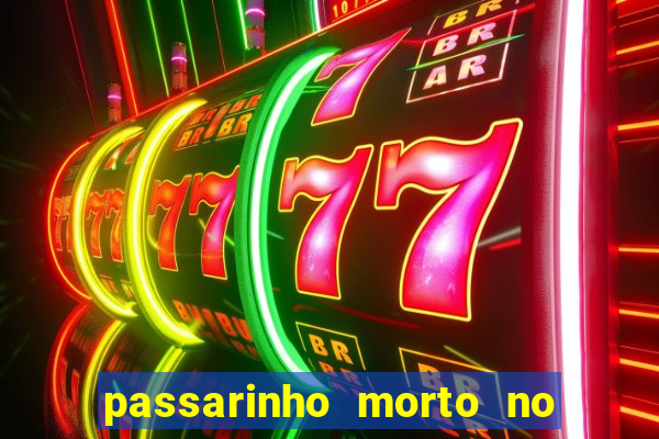 passarinho morto no quintal significado espiritual