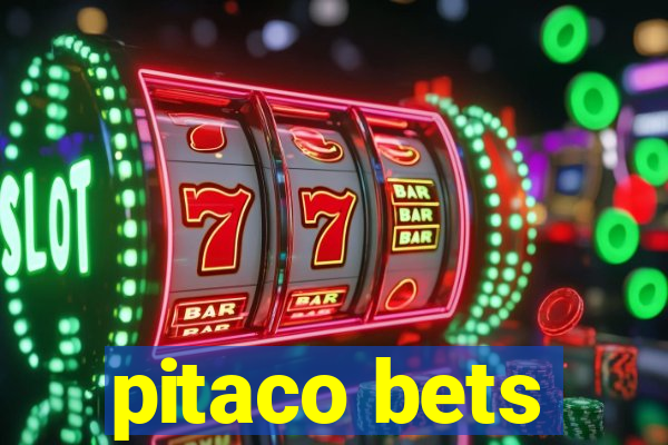 pitaco bets