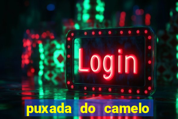 puxada do camelo jogo do bicho
