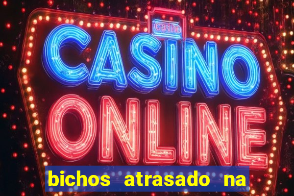 bichos atrasado na loteria dos sonhos