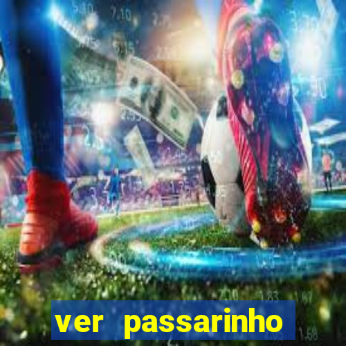 ver passarinho morto significado espiritual